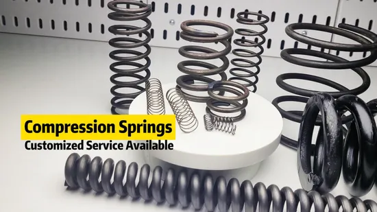 High Quality Spring V-Ring for Bore M1308/Auto Parts